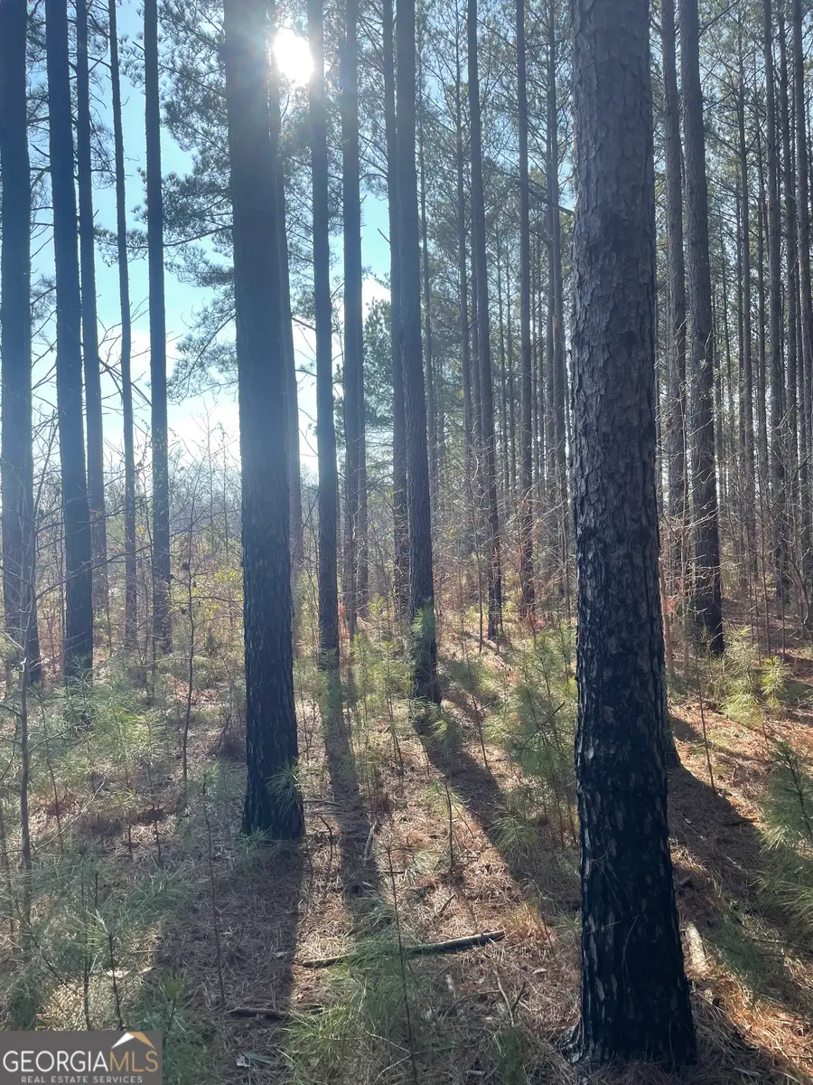 00 Hebron Church Road, Thomaston, GA 30286 - #3