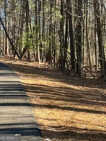 LOT 36R Lakeview Lane, Ellijay, GA 30536 - #3
