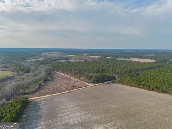 TRACT 3 Reddish Road, Odum, GA 31555