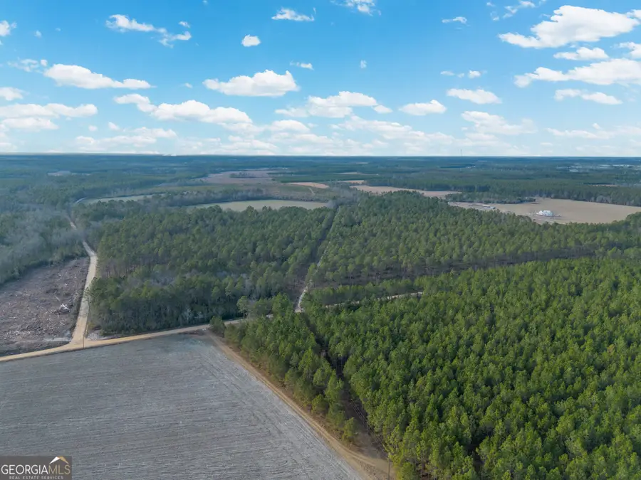 TRACT 3 Reddish Road, Odum, GA 31555 - #2