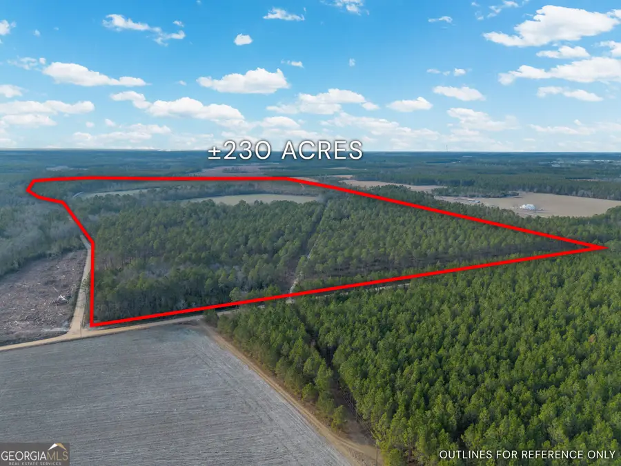 TRACT 3 Reddish Road, Odum, GA 31555 - #3
