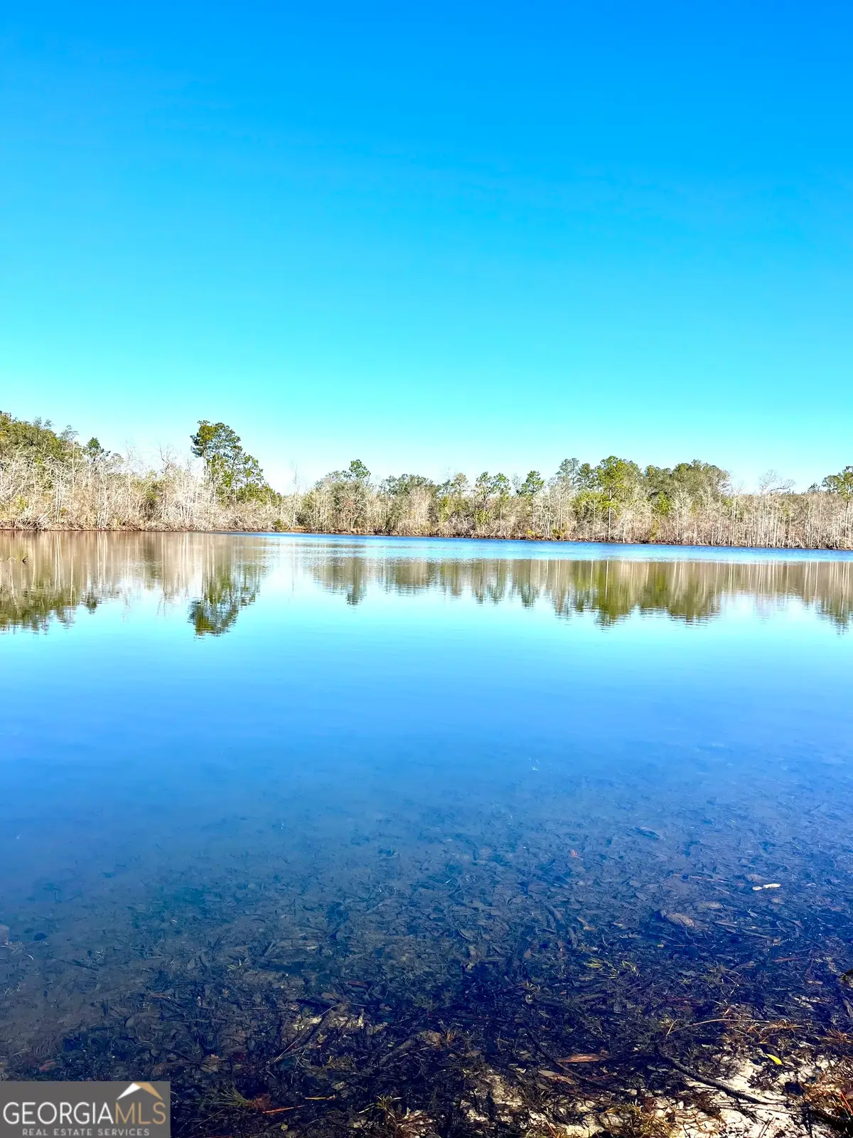 00 Lynntown Road, Collins, GA 30421 - #1