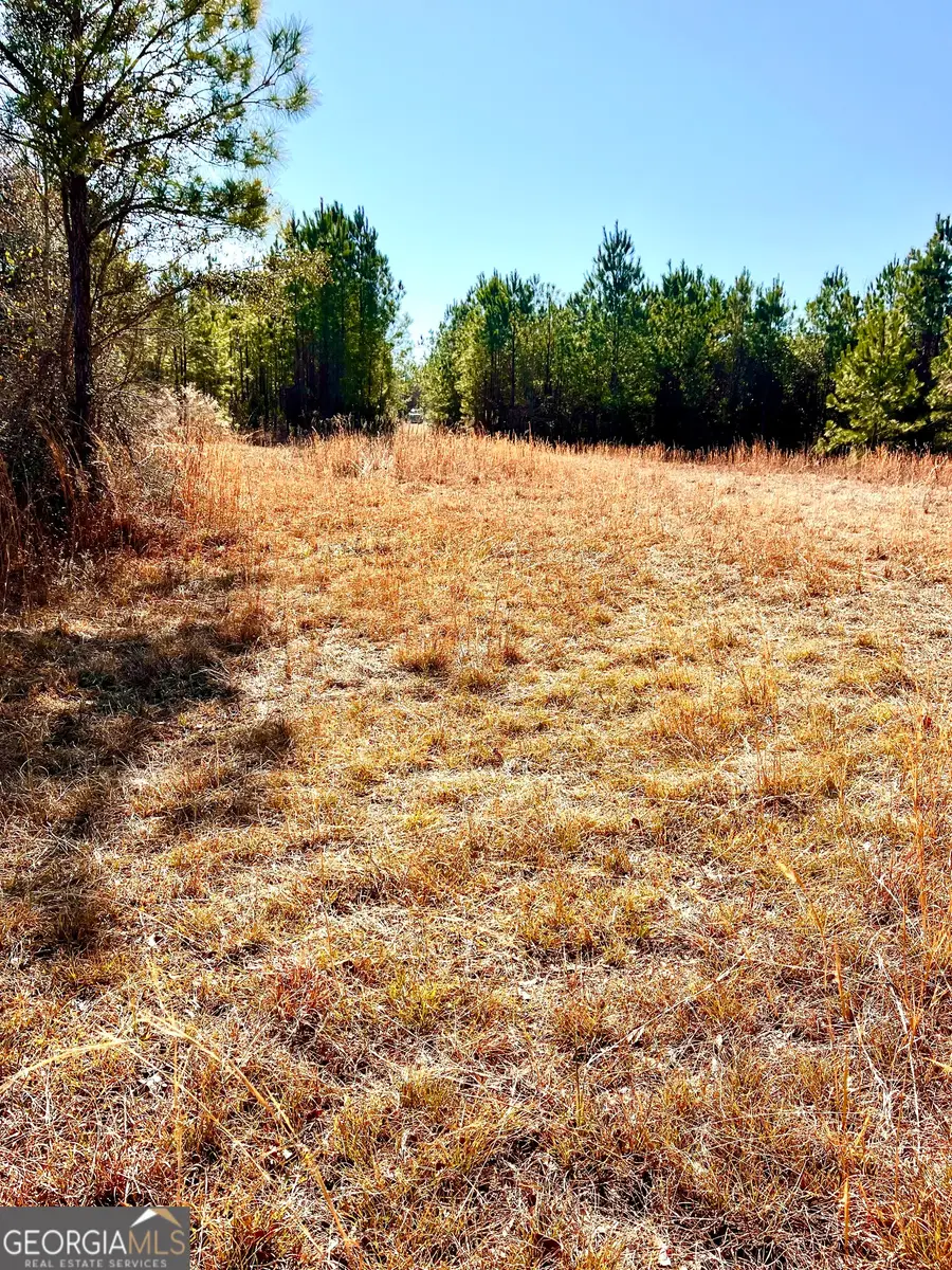 00 Lynntown Road, Collins, GA 30421 - #2