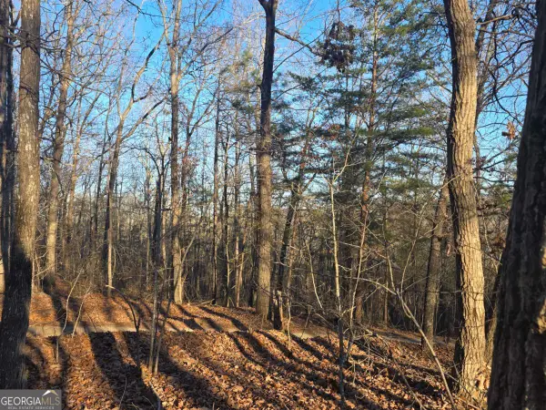 0 Carters Lake Overlook, Ellijay, GA 30540