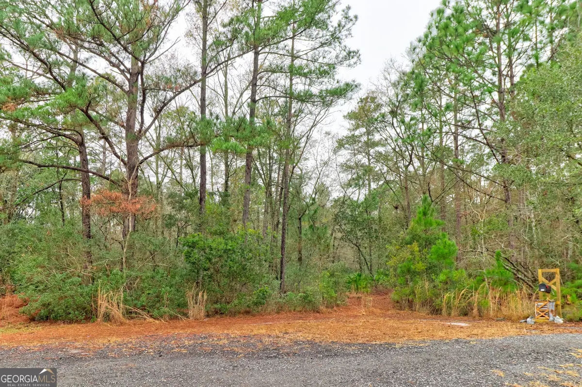 109 Unique Drive, Guyton, GA 31312 - Image #1