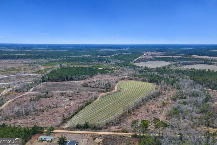 TRACT 4 Reddish Road, Odum, GA 31555 - #2