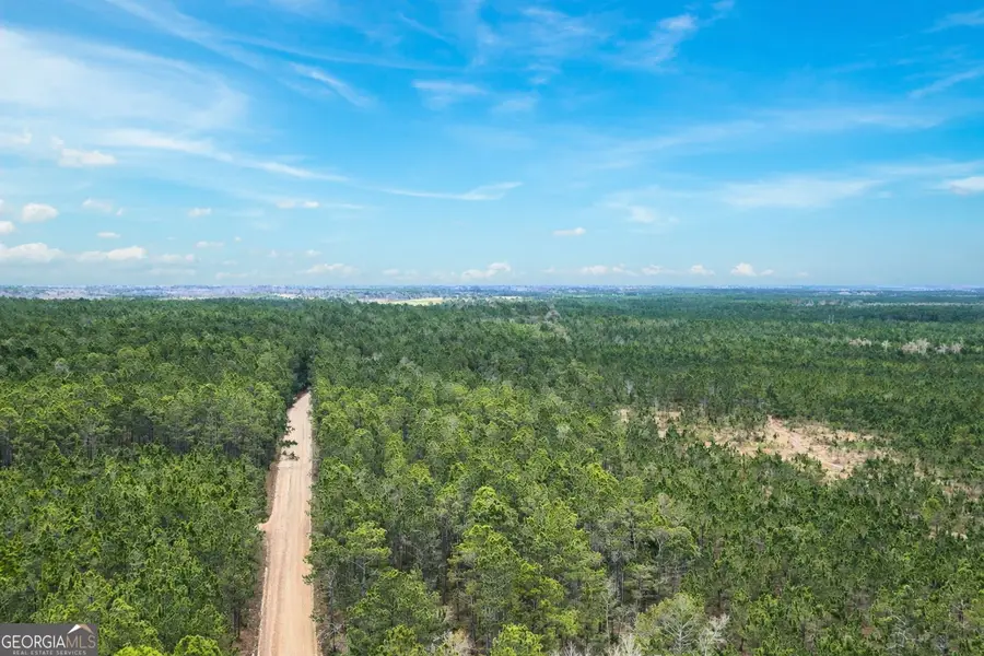 TRACT 1 Wheaton Road, Odum, GA 31555 - #2