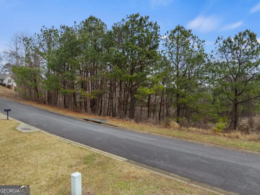 LT 34/35 Juniper Drive, Ellijay, GA 30540 - #3