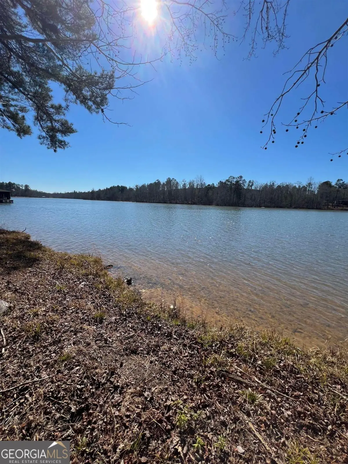 LOT 137 Lake Crest Drive, Sparta, GA 31087 - #1