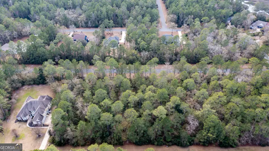 V/L 191 Sunrise Dr, Woodbine, GA 31569 - #2