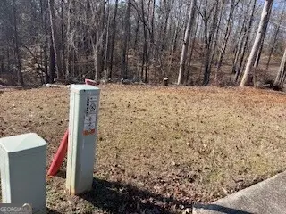 225 Standing Oak Place, Fayetteville, GA 30214 - #3