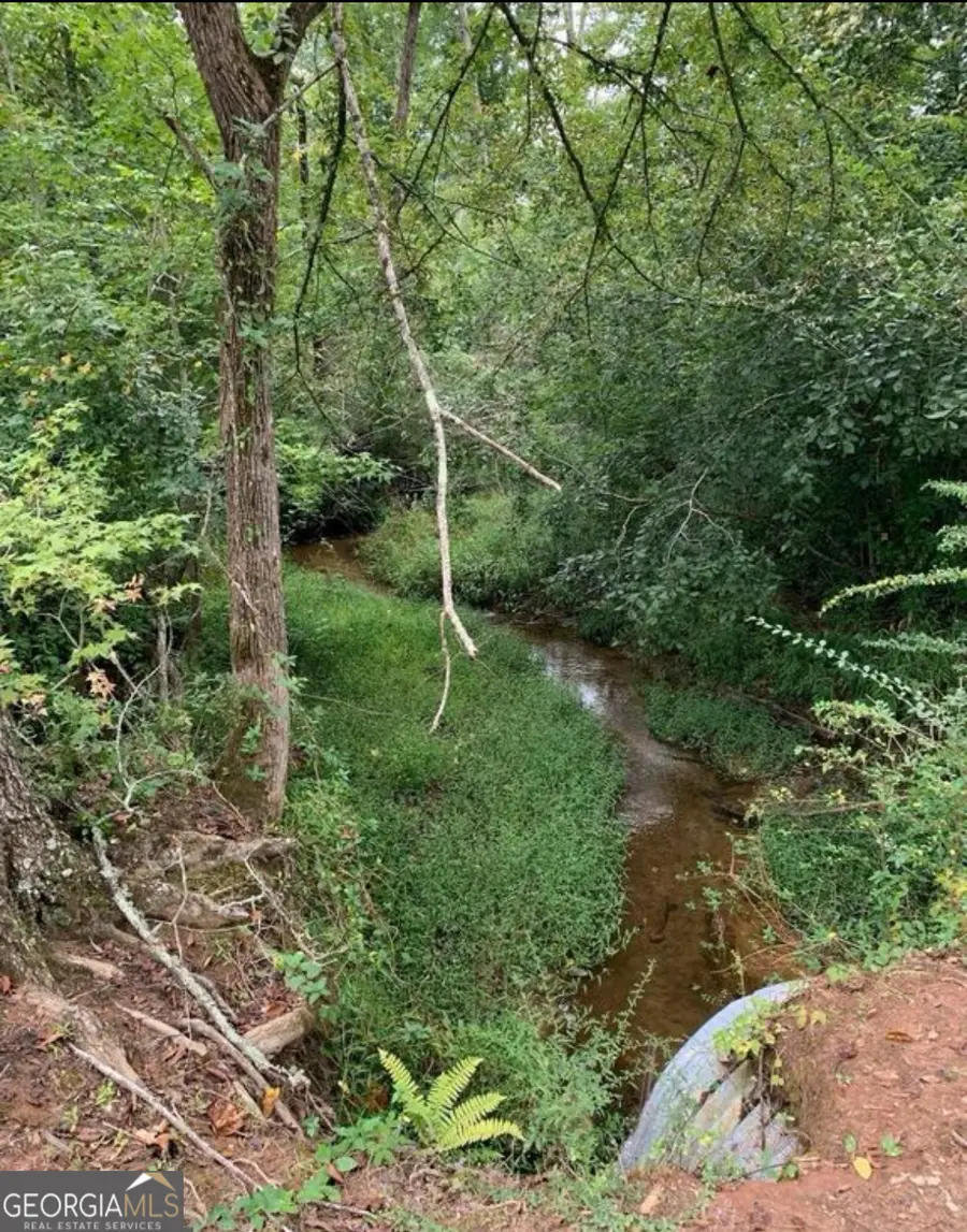 600 Hillview Road #TRACT 1, Hampton, GA 30228 - #3