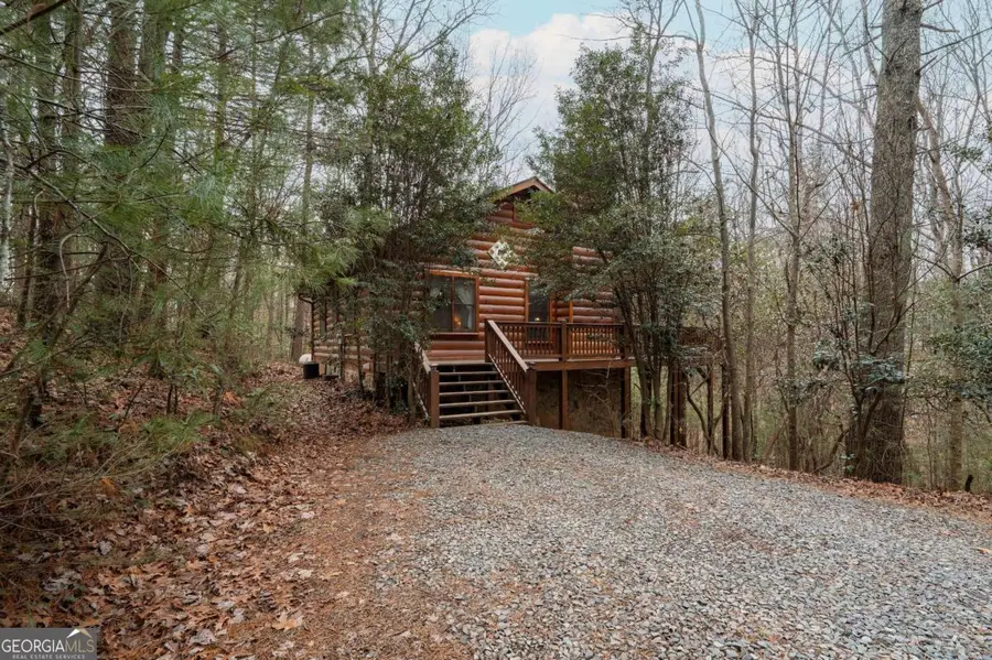 1165 Little Bushy Head Road #220, Blue Ridge, GA 30513 - #2