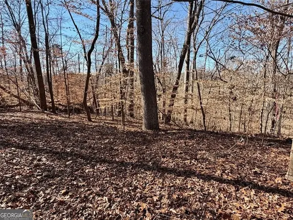 0 Arrowhead Court #227, Lavonia, GA 30553