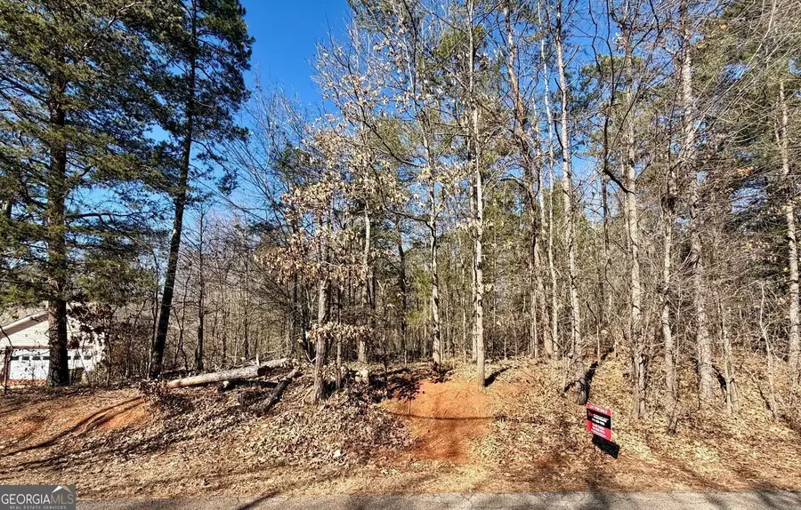 0 Lake Club Drive #84, Lavonia, GA 30553 - #3