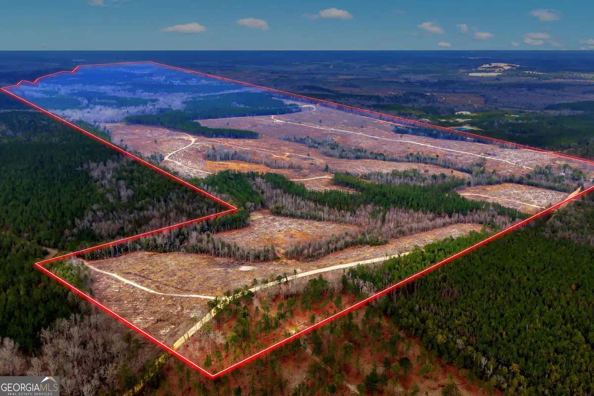 TRUSLOW CENTRAL Durham Mill Road, Jeffersonville, GA 31044 - #1