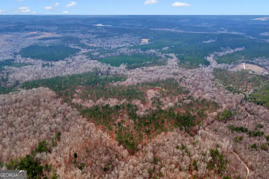 TRUSLOW SOUTH Durham Mill Road, Jeffersonville, GA 31044 - #2