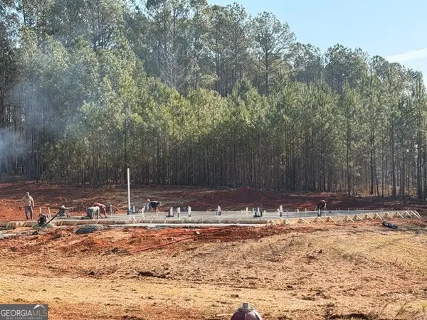 0 Branch Court #LOT 4, Newnan, GA 30263