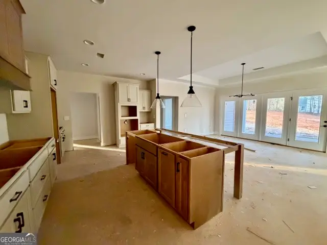 0 Branch Court #LOT 4, Newnan, GA 30263 - #2