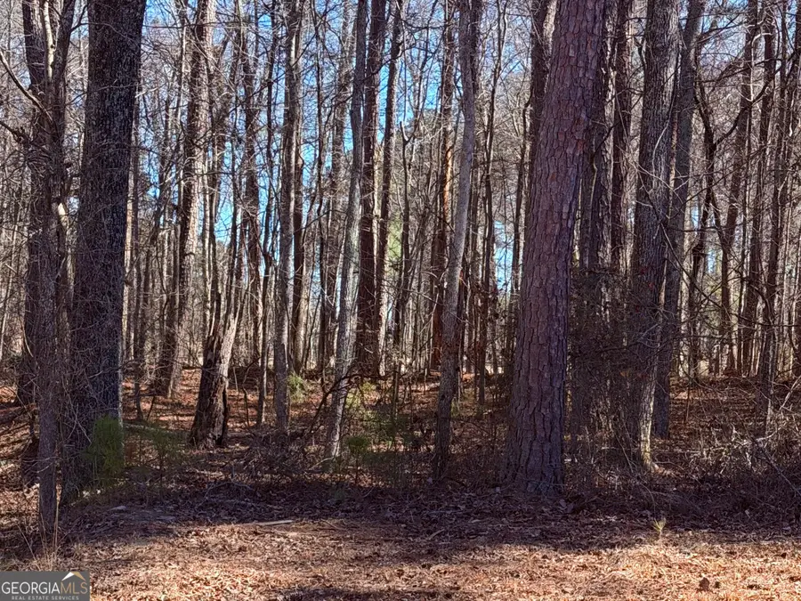 3297 Lakeview Parkway, Villa Rica, GA 30180 - #2