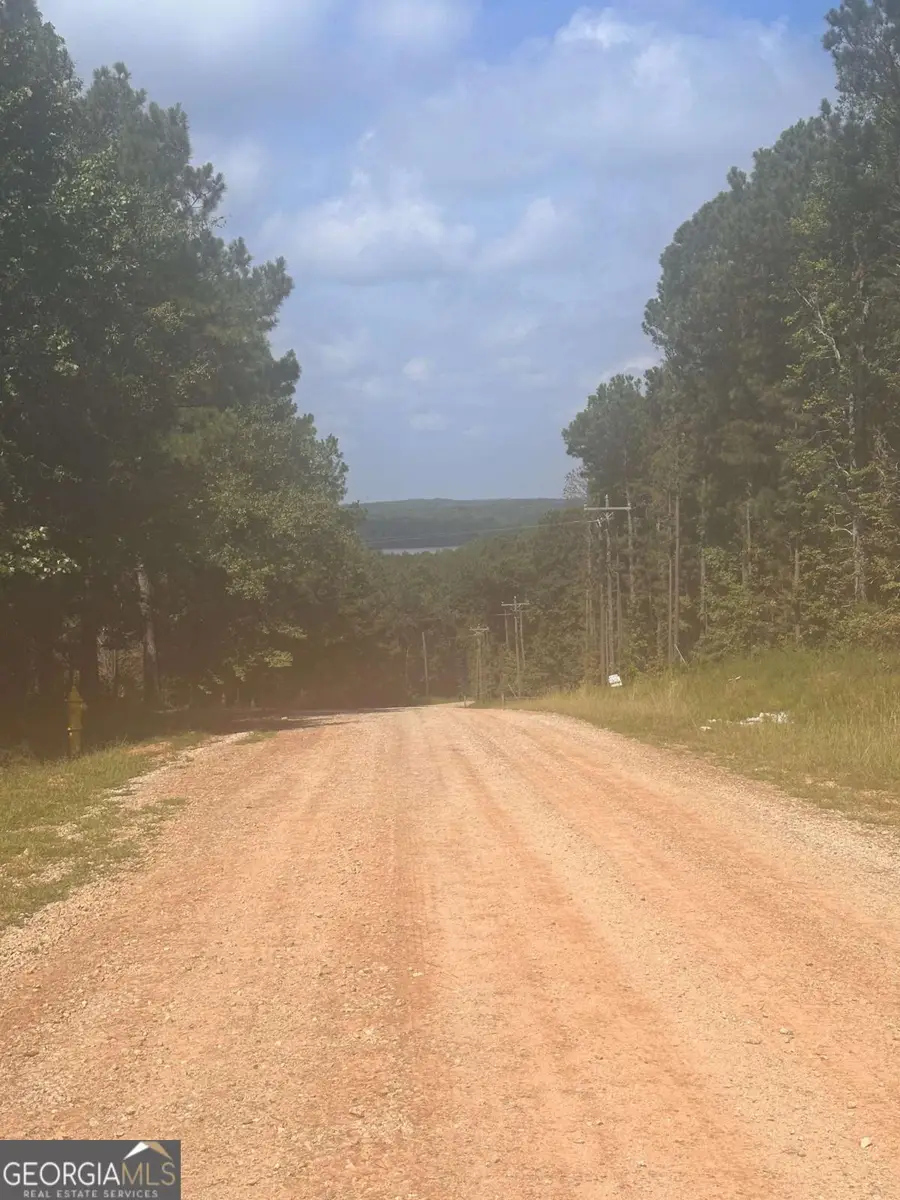 131 Ext Johnson Road, Locust Grove, GA 30248 - #2