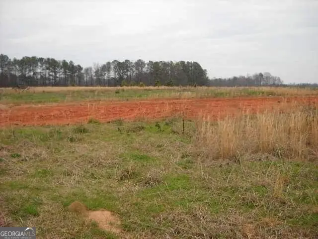 LOT 2 Mathews Road, Milner, GA 30257 - #1