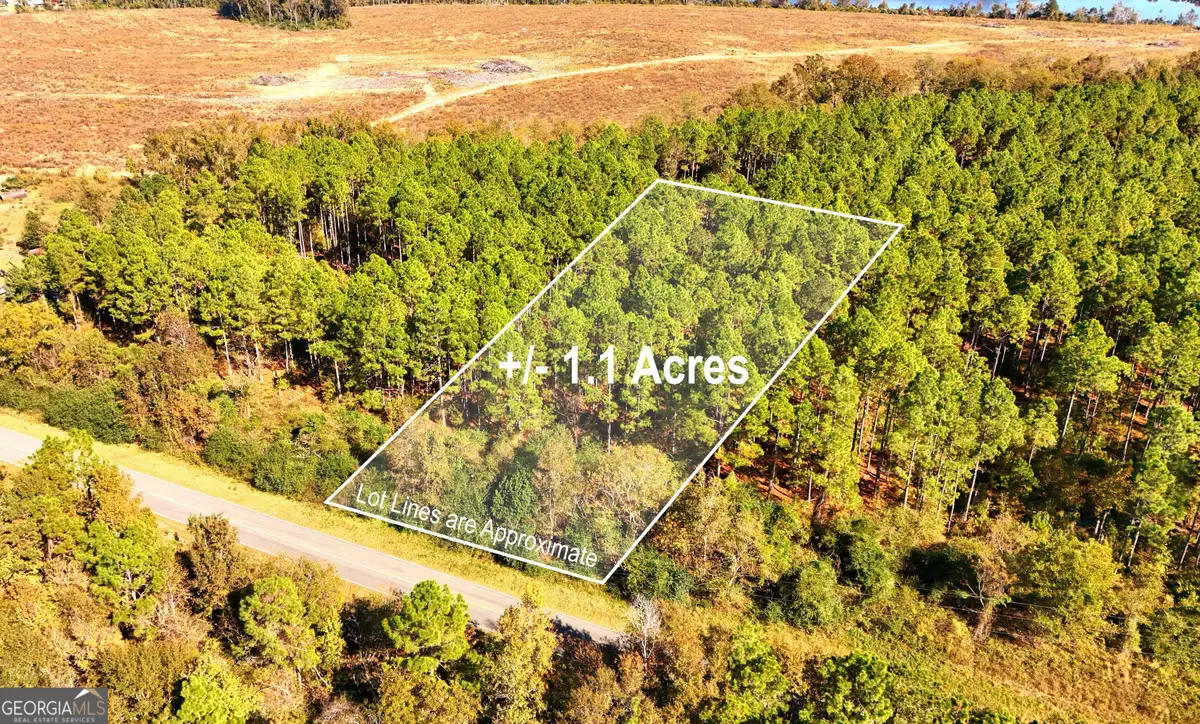 LOT 2 Middle Ground Church Road, Chester, GA 31012 - #1