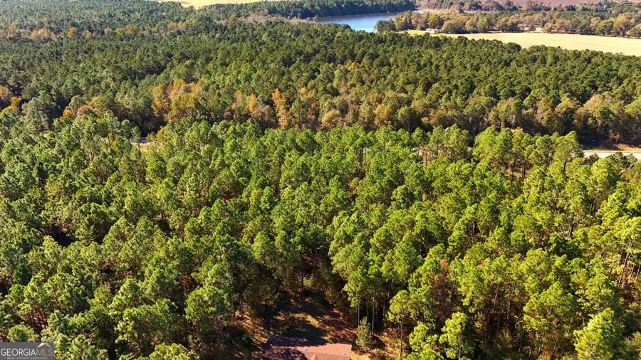 LOT 2 Middle Ground Church Road, Chester, GA 31012 - #2