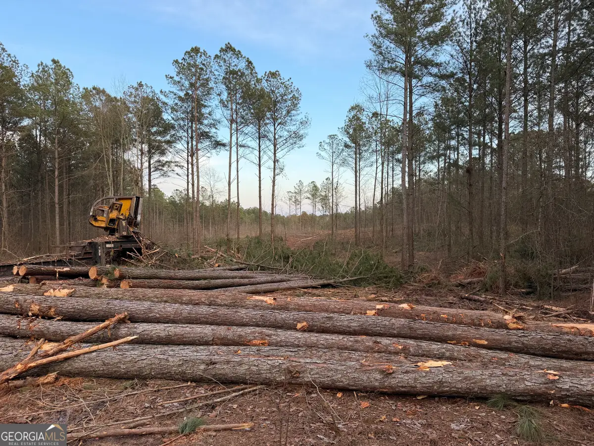 0 County Road 340, Woodland, AL 36280 - #1