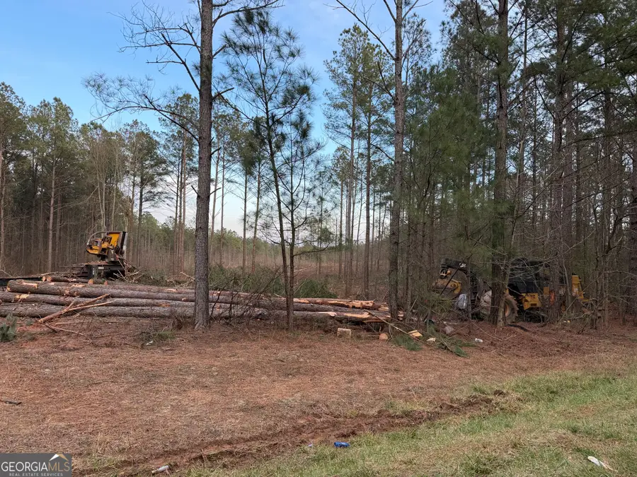 0 County Road 340, Woodland, AL 36280 - #2