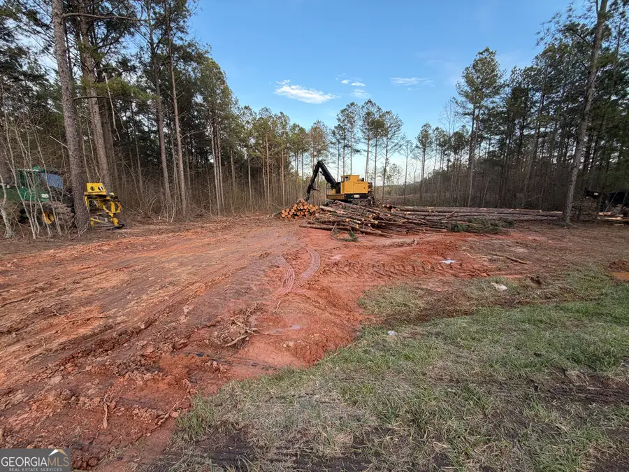 0 County Road 340, Woodland, AL 36280 - #3