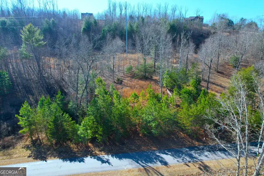 LOT 111 Kathrine, Blairsville, GA 30512 - Image #3