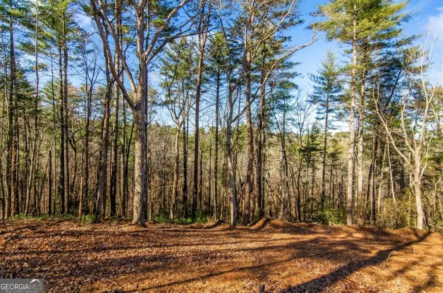 LT 10R Whispering Oaks Drive #10R, Ellijay, GA 30540 - #3