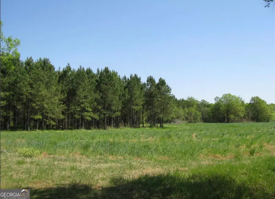 1700 Sanders Road, Edison, GA 39846 - Image #2