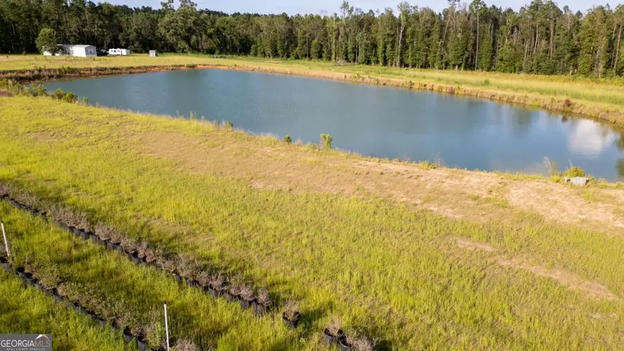 01 Penny Morris Road, Baxley, GA 31513 - #3