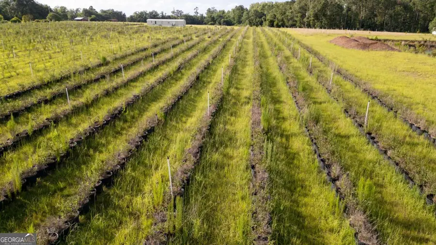 02 Penny Morris Road, Baxley, GA 31513 - #2