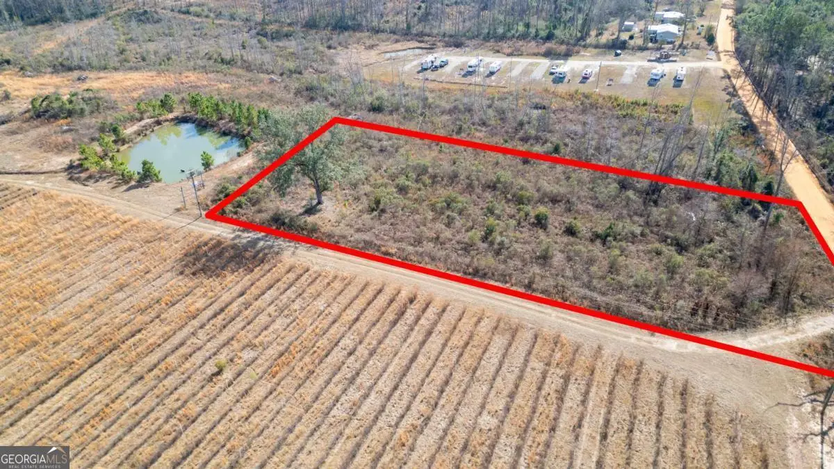 03 Penny Morris Road, Baxley, GA 31513 - #1