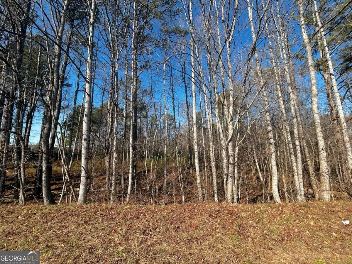 2013 Lake Paradise Road, Villa Rica, GA 30180 - #1