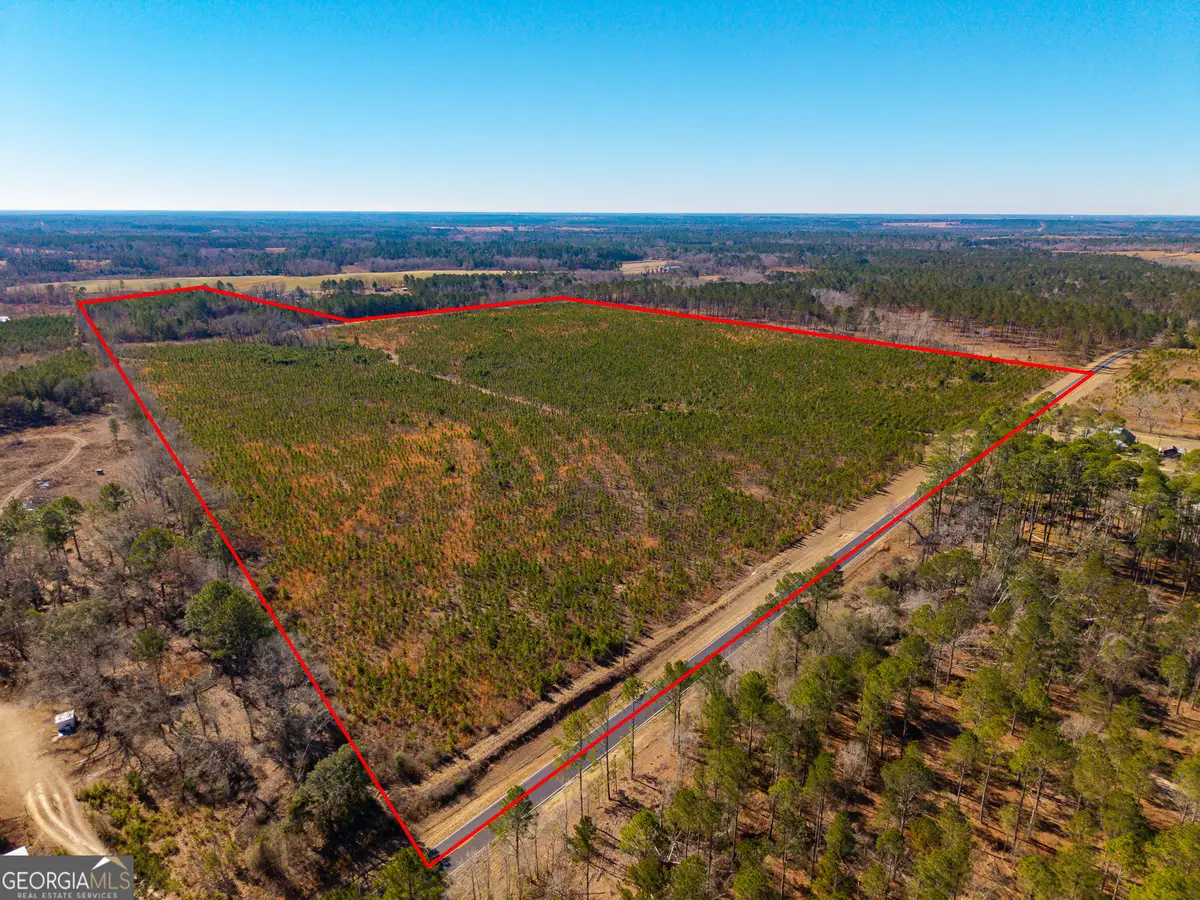 1 Henry Moxley Road, Cobbtown, GA 30420 - #1