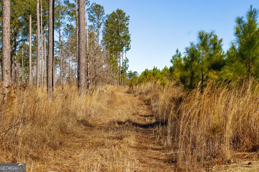 1 Henry Moxley Road, Cobbtown, GA 30420 - #2