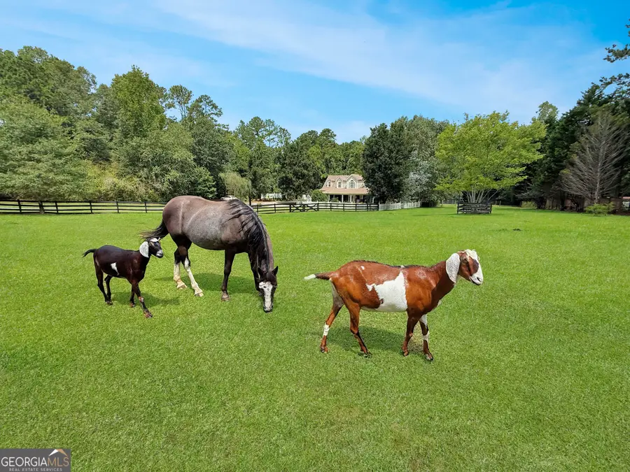 1040 Essex Road, Watkinsville, GA 30677 - #3