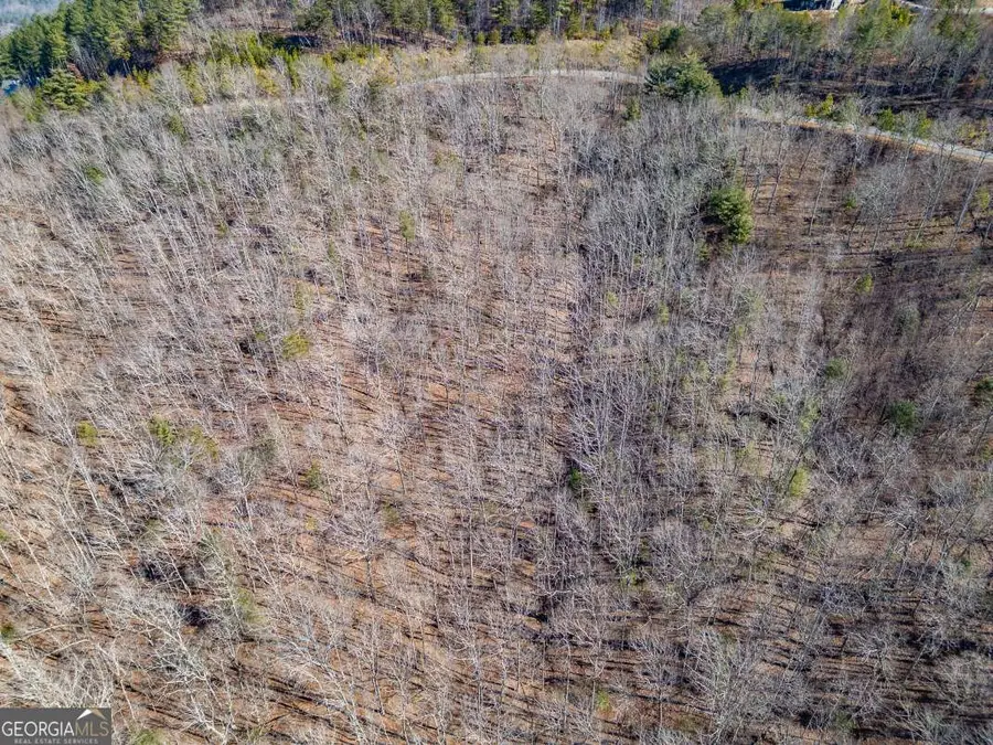 LOT 370 Thirteen Hundred, Blairsville, GA 30512 - #3