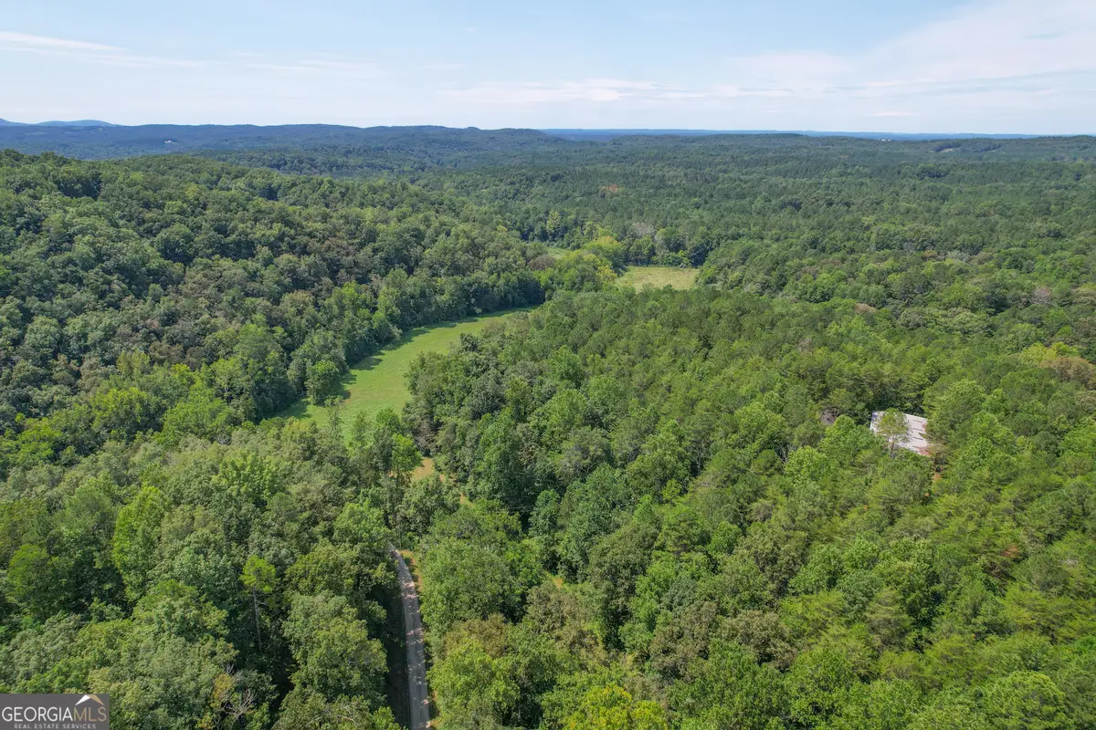 45 +/- Acres On Rambling Road, Fairmount, GA 30139 - #1