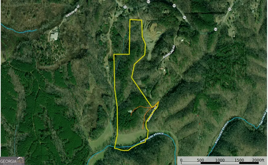 45 +/- Acres On Rambling Road, Fairmount, GA 30139 - #3