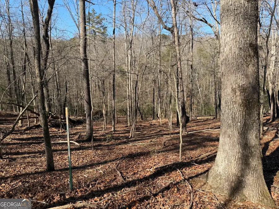 0 River Road, Cleveland, GA 30528 - #3