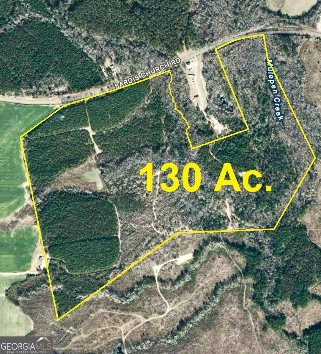 0 Sardis Church Road, Kite, GA 31049 - #1