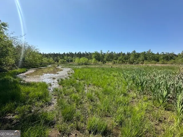 0 Sardis Church Road, Kite, GA 31049 - #2