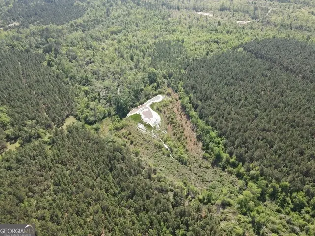 0 Sardis Church Road, Kite, GA 31049 - #3