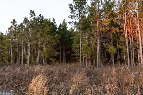 0 Highway 26, Montrose, GA 31065