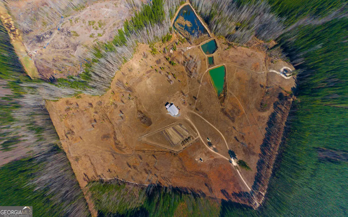 1039 Womack Road N, Garfield, GA 30425 - #1